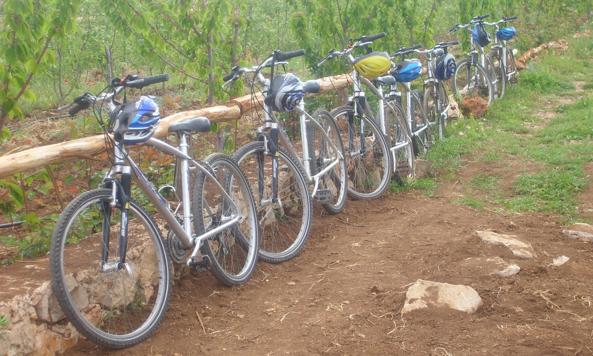 Biking in the middle Atlas