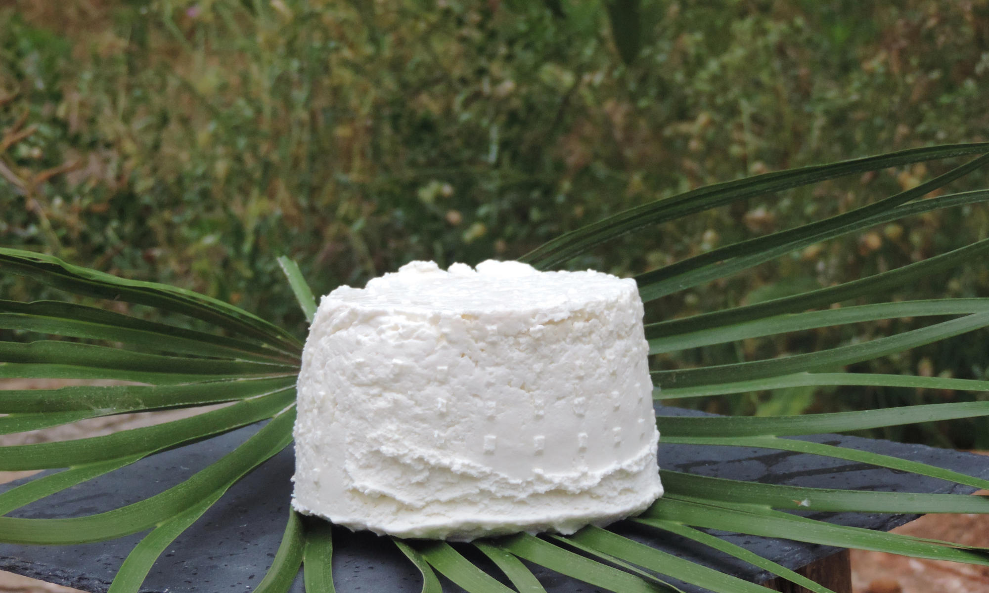 Jben Goat Cheese